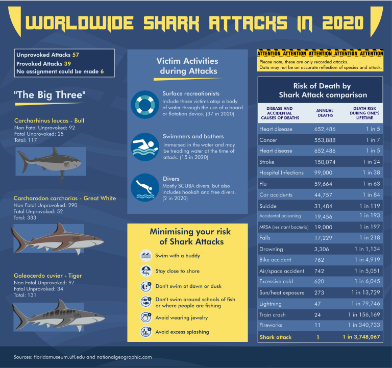 Shark Week Tips: How to Avoid Attacks and More