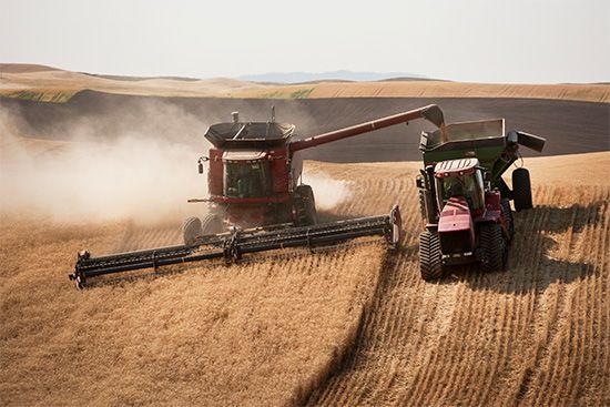 Harvests from Good Contrivance Farm