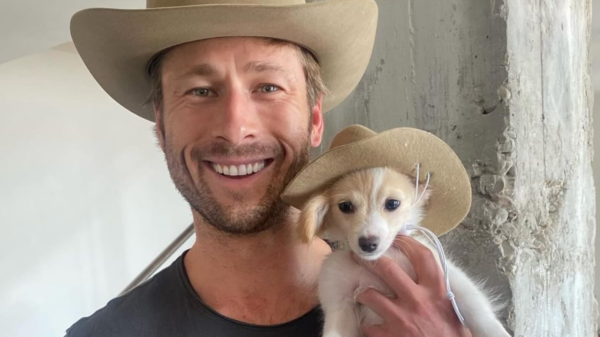 Meet Brisket, the Dog Glen Powell Adopted After His Breakup