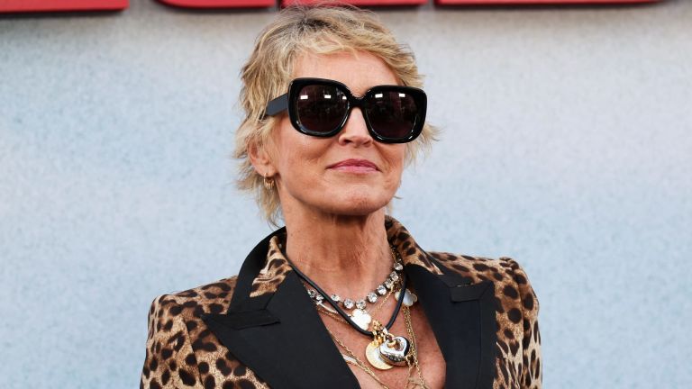 Sharon Stone: I Lost $18M Savings After 2001 Stroke Due to Exploitation