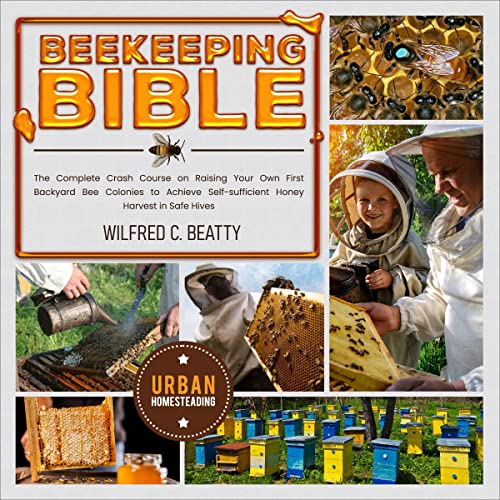 Mastering Beekeeping: My Crash Course in the Art of the Apiarist