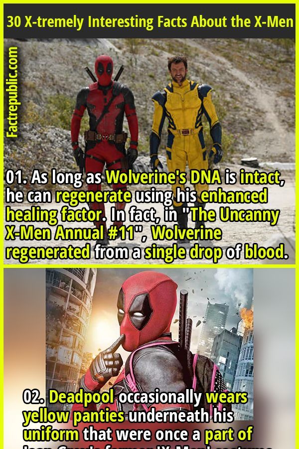 Baffling Facts About Deadpool & Wolverine