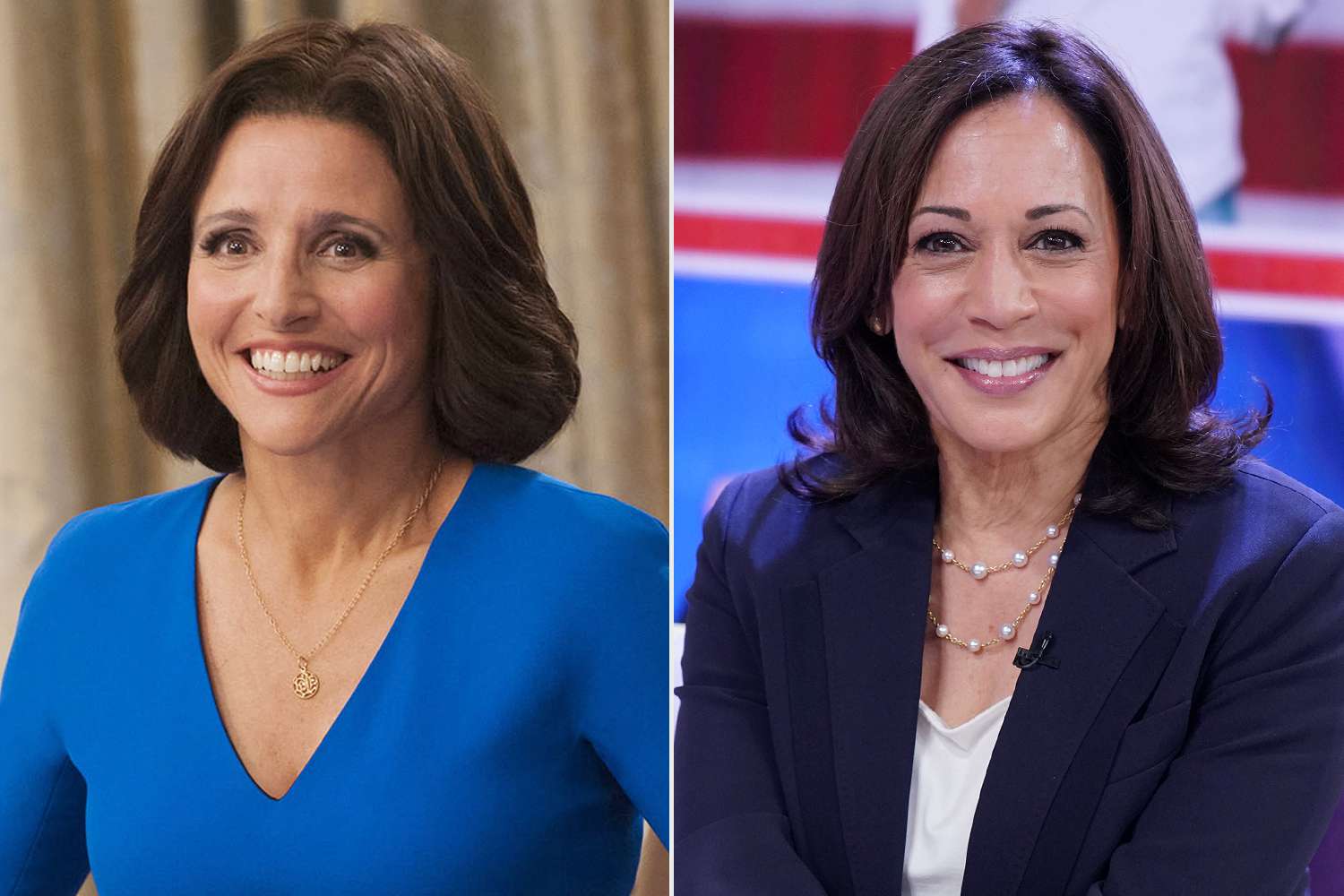 'Veep' Viewership Soars on Max After Kamala Harris Begins Presidential Campaign