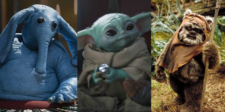 10 Real Animals That Inspired Species in Star Wars