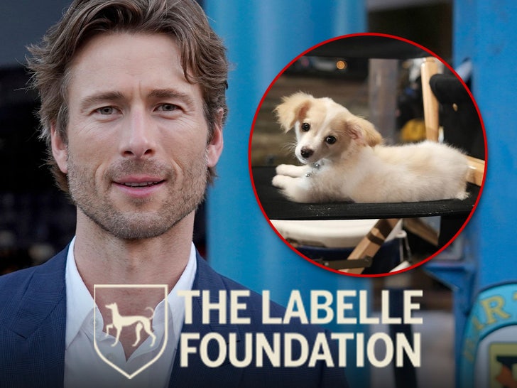 Glen Powell's Rescue Pup Brisket from IG Boosts Rescue Org's Profile