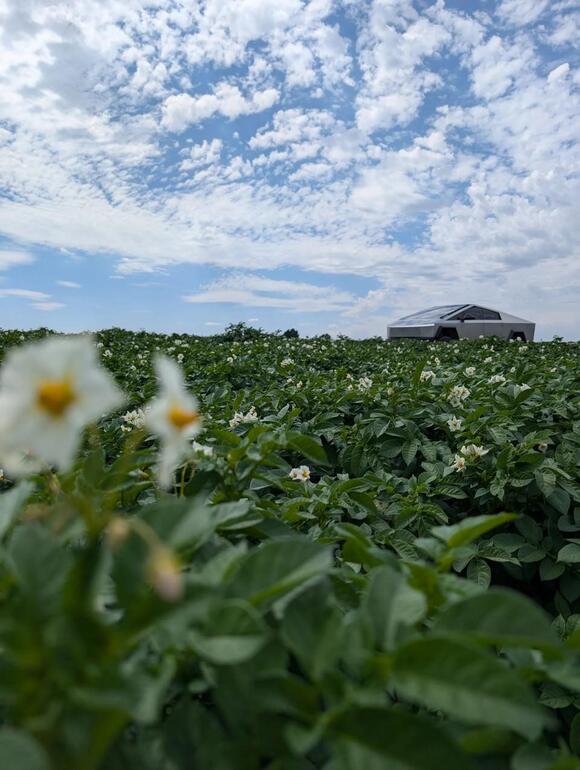 Braden Smith's Tesla Cybertruck in his potato field in Rexburg, Idaho.