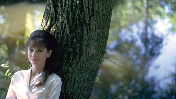 Audrey Hepburn in ‘Paris When It Sizzles’ (1964)