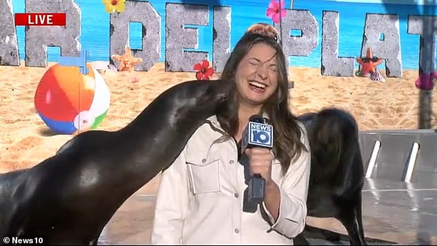 Bruno tried to continue her report through her laughter as one of the sea lions leaned in for a kiss