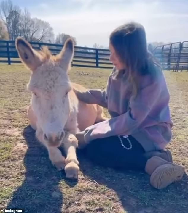 She admired her livestock and sat with them, giving each quality one-on-one time as the sun began to set