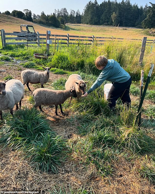 They also spent the day feeding sheep as seen in another adorable photo of Jack