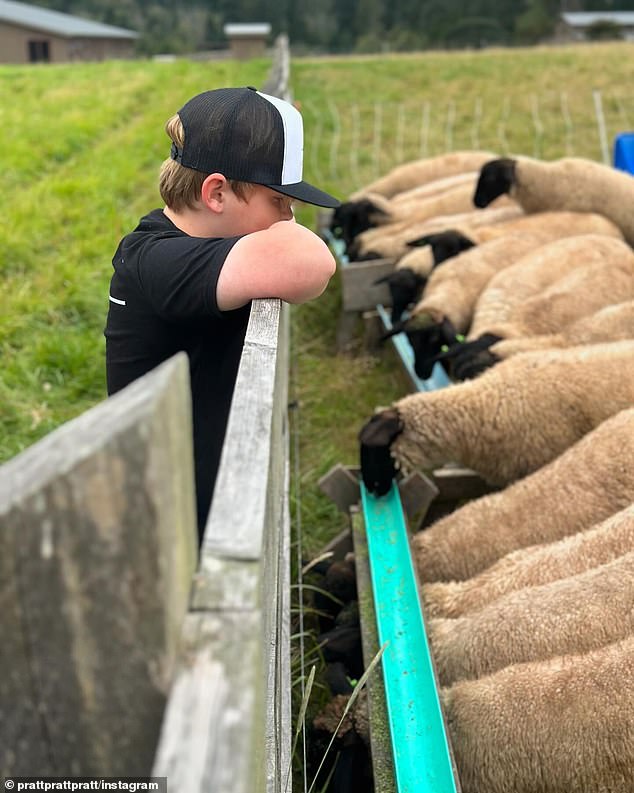 He also shared a picture of Jack watching a herd of goats eating out of a trough