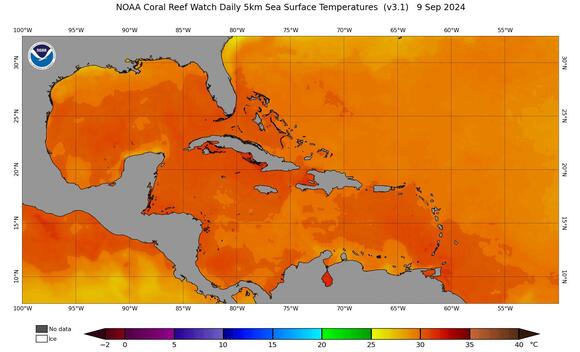 Gulf of Mexico sea surface temperatures