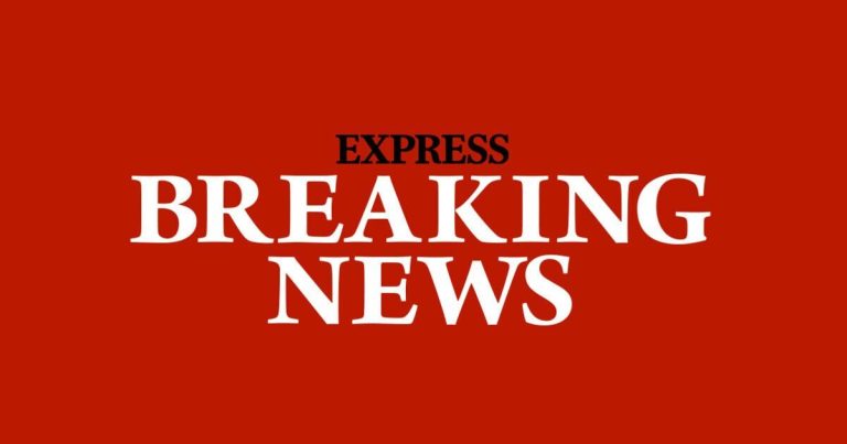Project Runway fashion designer killed during anti-Trump rally shooting